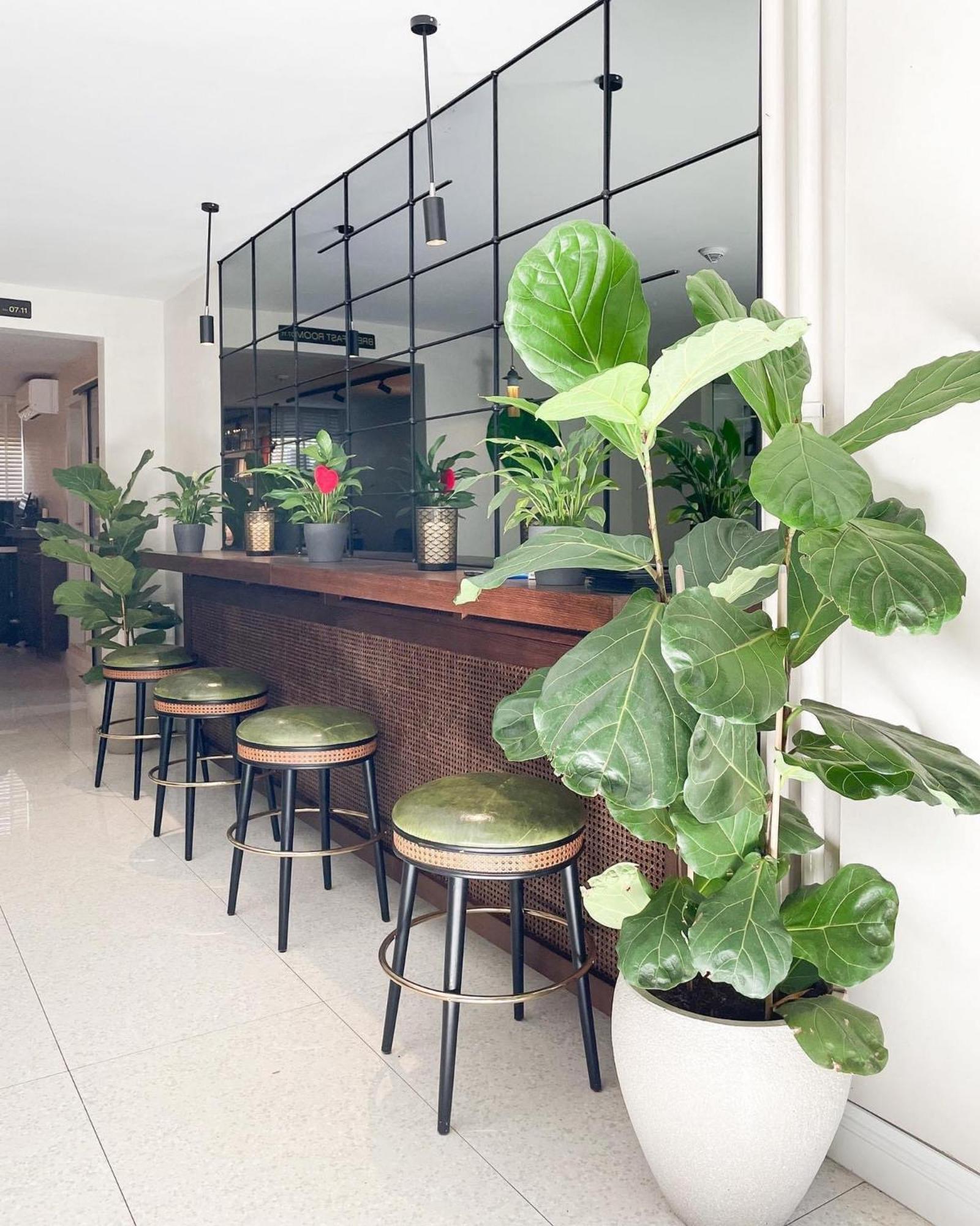 Hotel Botanica Belgrád Kültér fotó